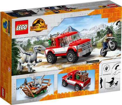 76946 Blue & Beta Velociraptor Capture